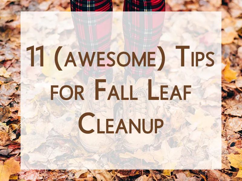 Fall cleanup tips for pain relief. Physical therapy for work injury rehab and mobility recovery.